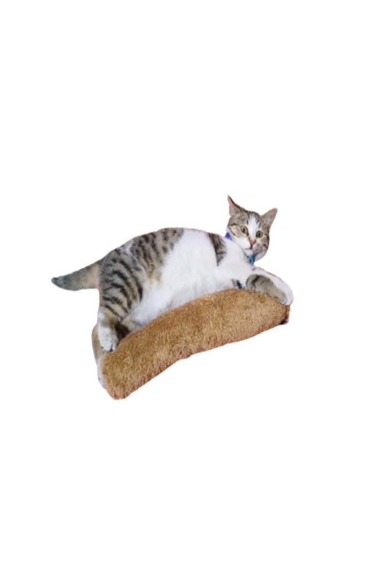 Tineke Kedi Oyuncağı Sarılma Yastığı Uyku Oyuncağı Kedi Otlu 30 cm Peluş ( 1 Adet