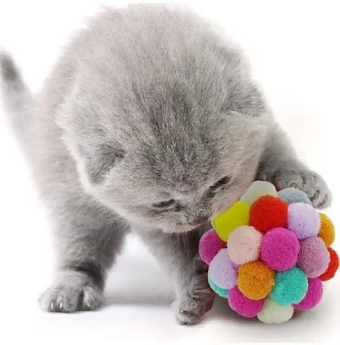 Mixpet Renkli Ponpon Top Kedi Oyuncağı 7 cm
