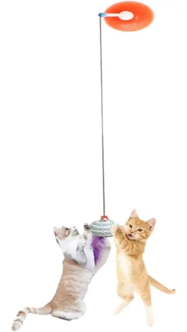 TİNEKE Vantuzlu Kedi Oltası Kedi Oyuncağı