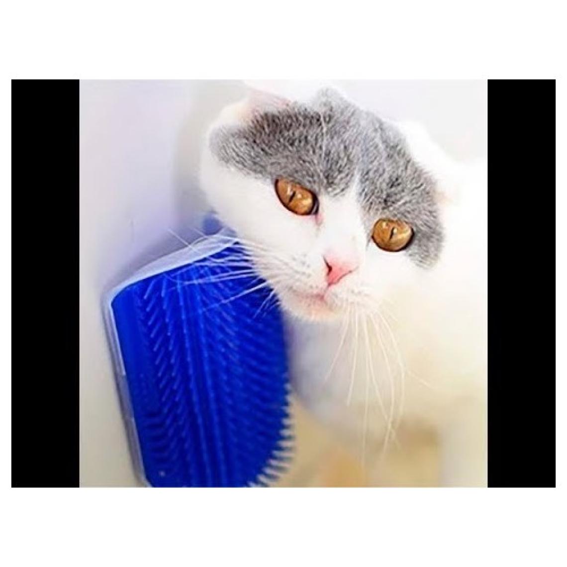 Evim Shopping Kedi Kaşıma Masaj Fırçası Cat It