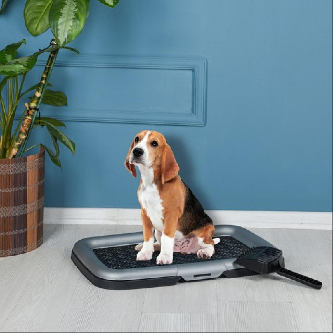 Plastart Pet Plastart Akıllı Köpek Tuvaleti