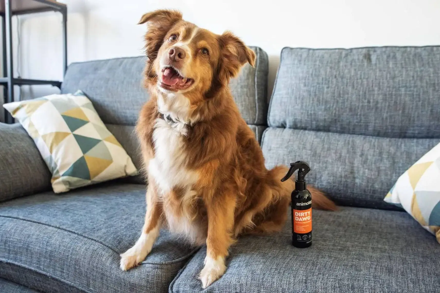 Animology Knot Sure Kıtık Açıcı Köpek Temizlik Spreyi