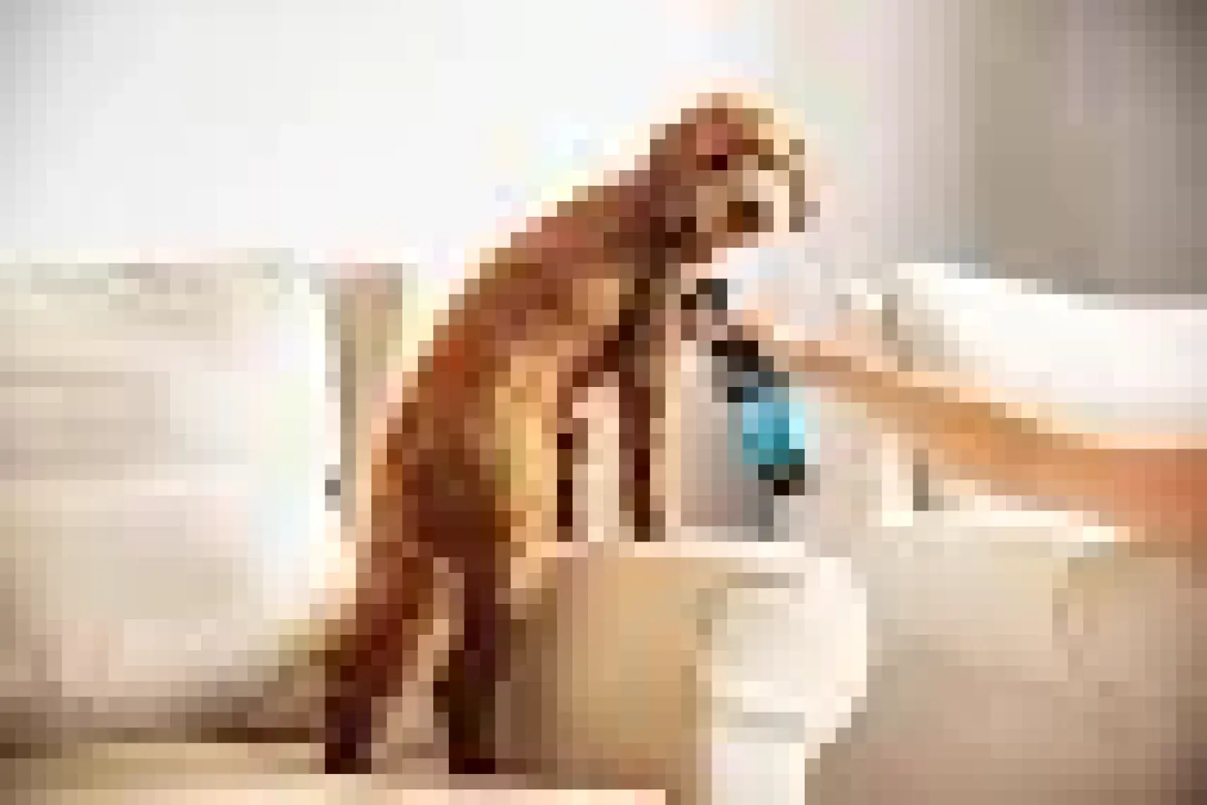 Animology Knot Sure Kıtık Açıcı Köpek Temizlik Spreyi