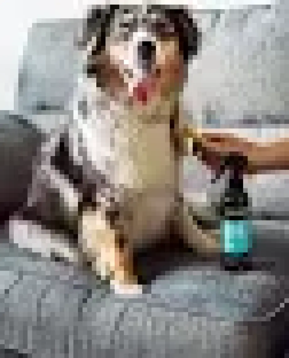 Animology Knot Sure Kıtık Açıcı Köpek Temizlik Spreyi