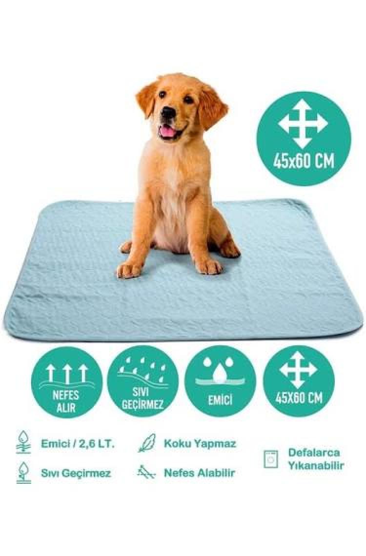 Abso Yıkanabilir Emici Tuvalet Eğitim Köpek Pedi ( 45X60 cm