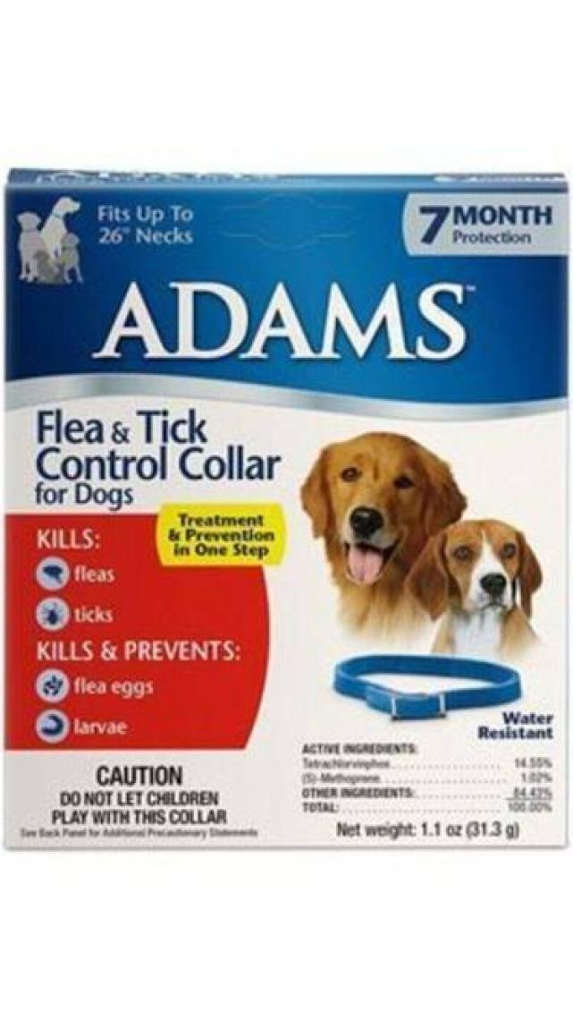 Adams Köpek Tasması