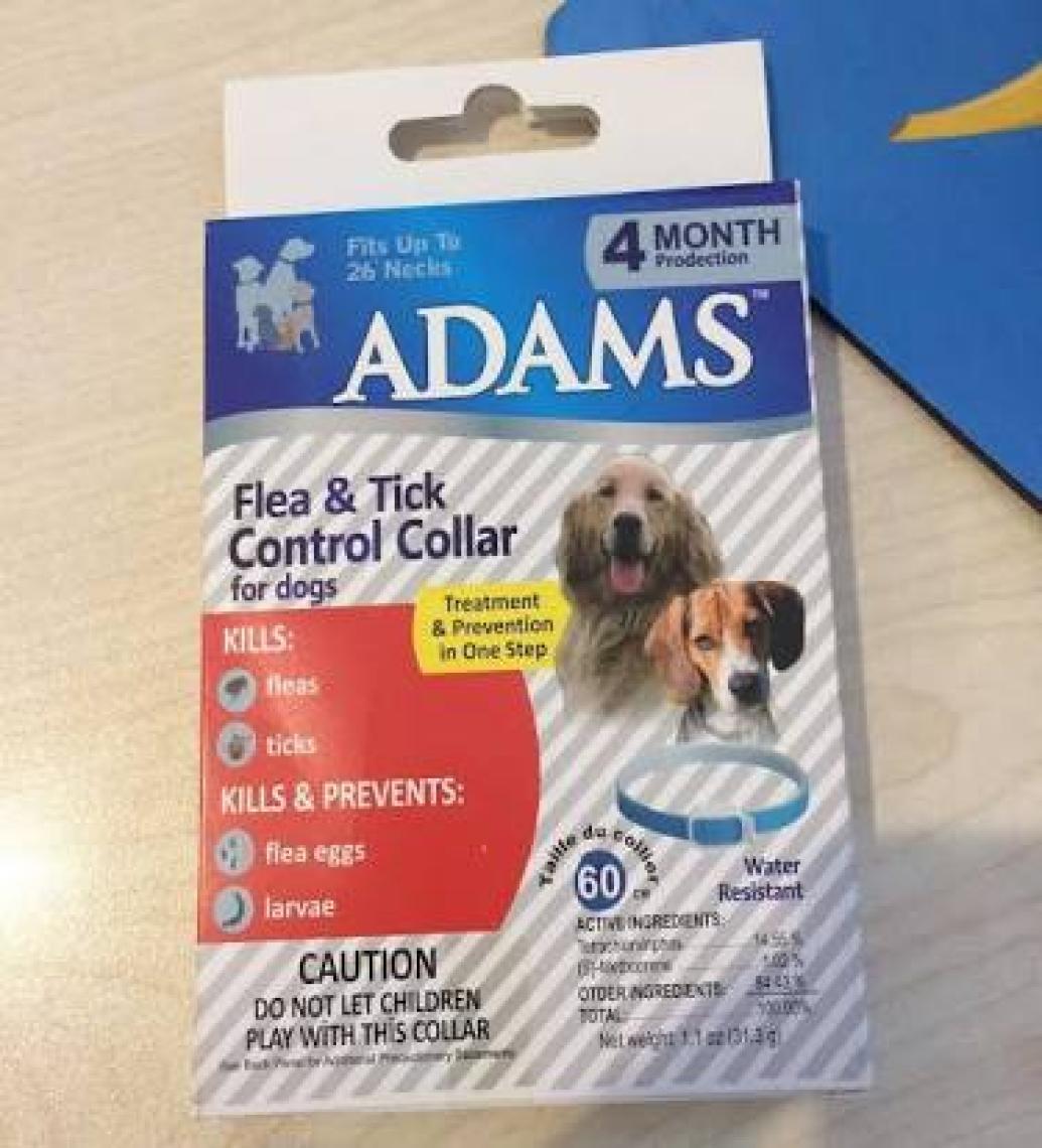 Adams Köpek Tasması