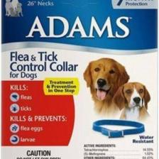 Adams Köpek Tasması