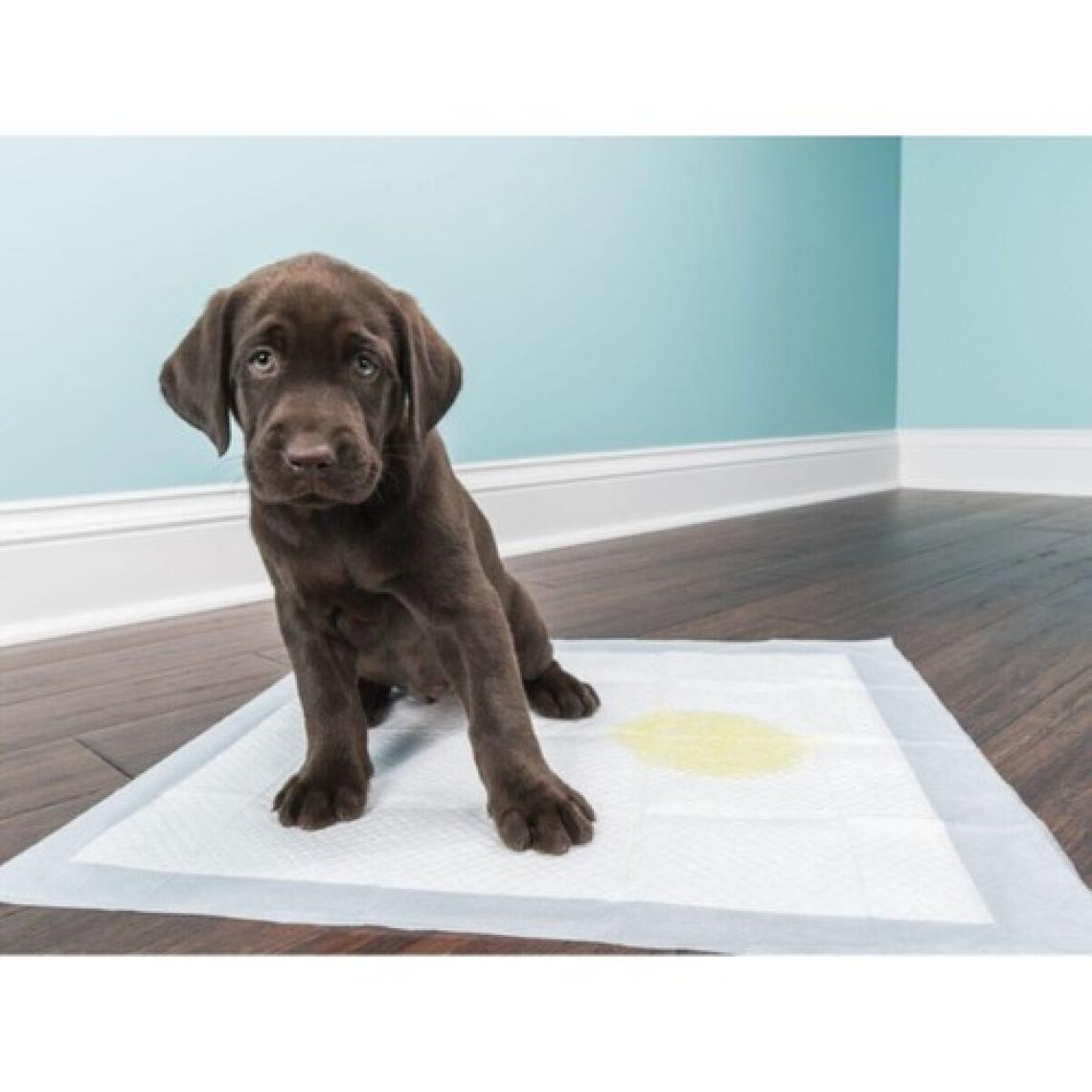 Onlyone 60x90 cm 30'lu Köpek Çiş Pedi / Yatak Koruyucu Örtü