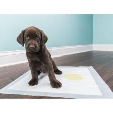 Onlyone 60x90 cm 30'lu Köpek Çiş Pedi / Yatak Koruyucu Örtü