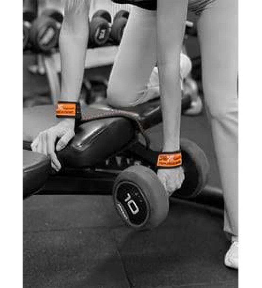 Dex Supports Pro Lifting Straps  Padded 2’li Paket