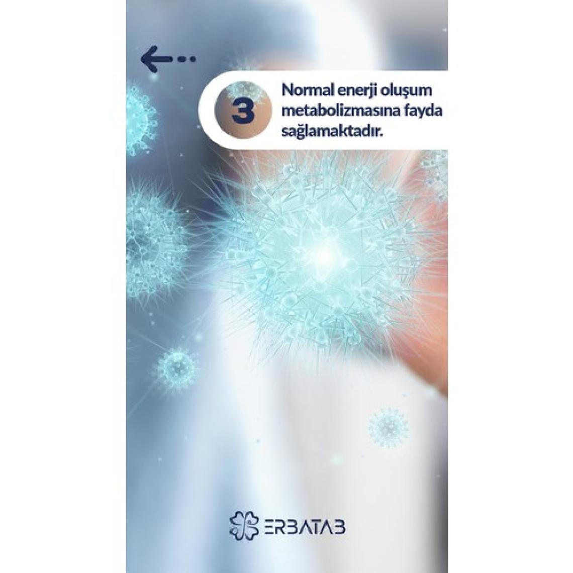 Erbatab Multivitamin ve Mineral Takviye Edici Gıda - 60 Bitkisel Vcaps Kapsül, Çinko ve Vitamin İçerir, Türkiye Menşeli