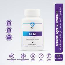 Smartcaps  Slm Akkermansia Muciniphila & Garcinia Cambogia Extract 60 Kapsül