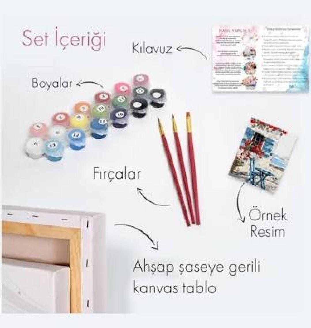 Tabdiko Sayılarla Boyama Seti 40 x 50 cm Tuval Şasesine Gerili Vazodaki Renkler