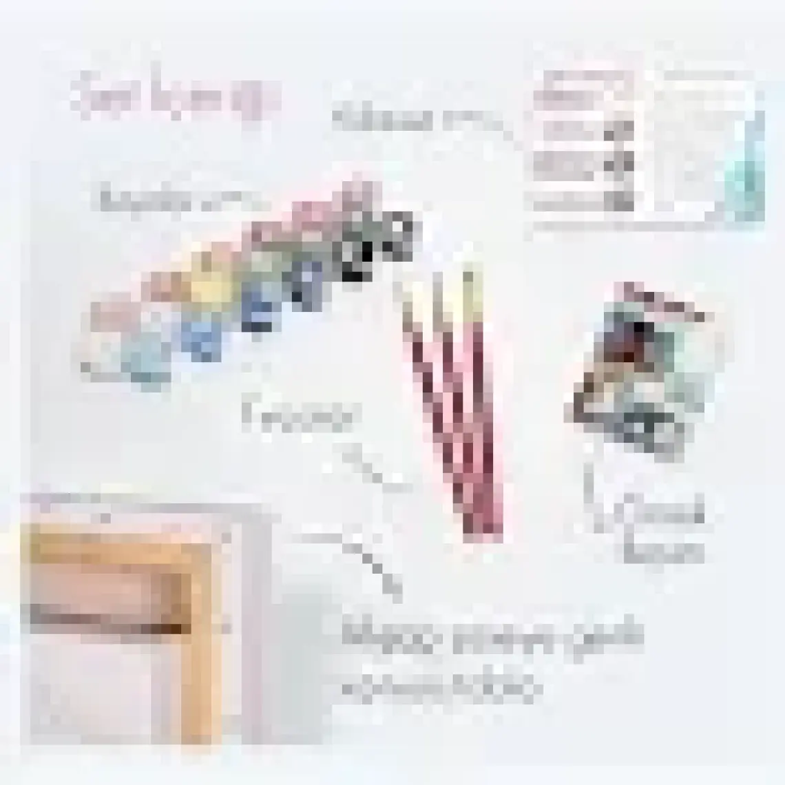 Tabdiko Sayılarla Boyama Seti 40 x 50 cm Tuval Şasesine Gerili Pembe Kamelyalar
