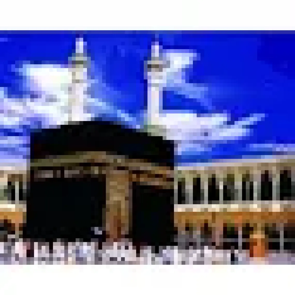 Womb Hobby Kabe Sayılarla Boyama Seti 40 x 50 cm Tuvale Gerili