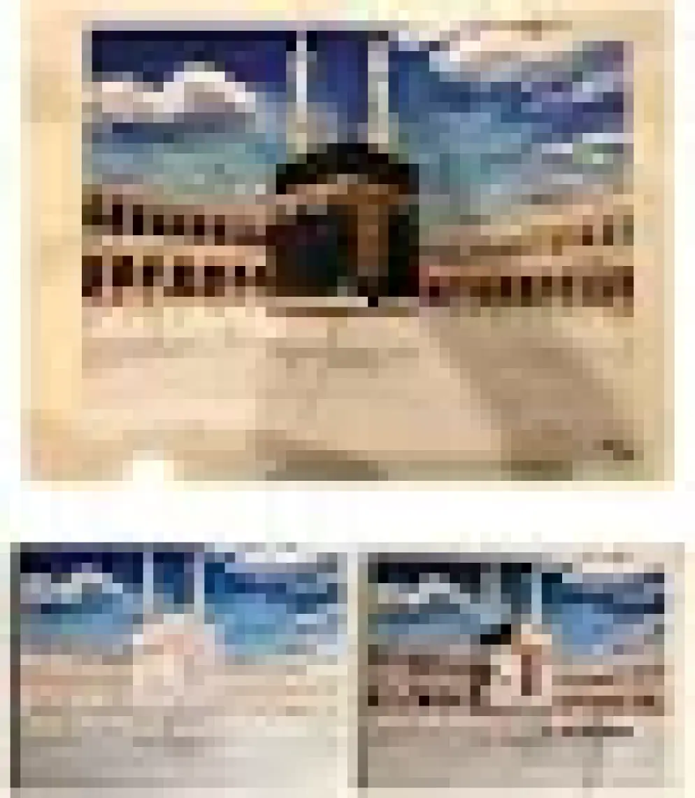 Womb Hobby Kabe Sayılarla Boyama Seti 40 x 50 cm Tuvale Gerili