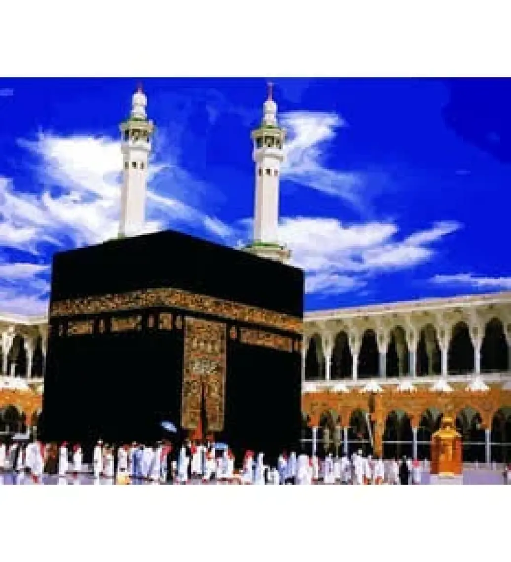 Womb Hobby Kabe Sayılarla Boyama Seti 40 x 50 cm Tuvale Gerili
