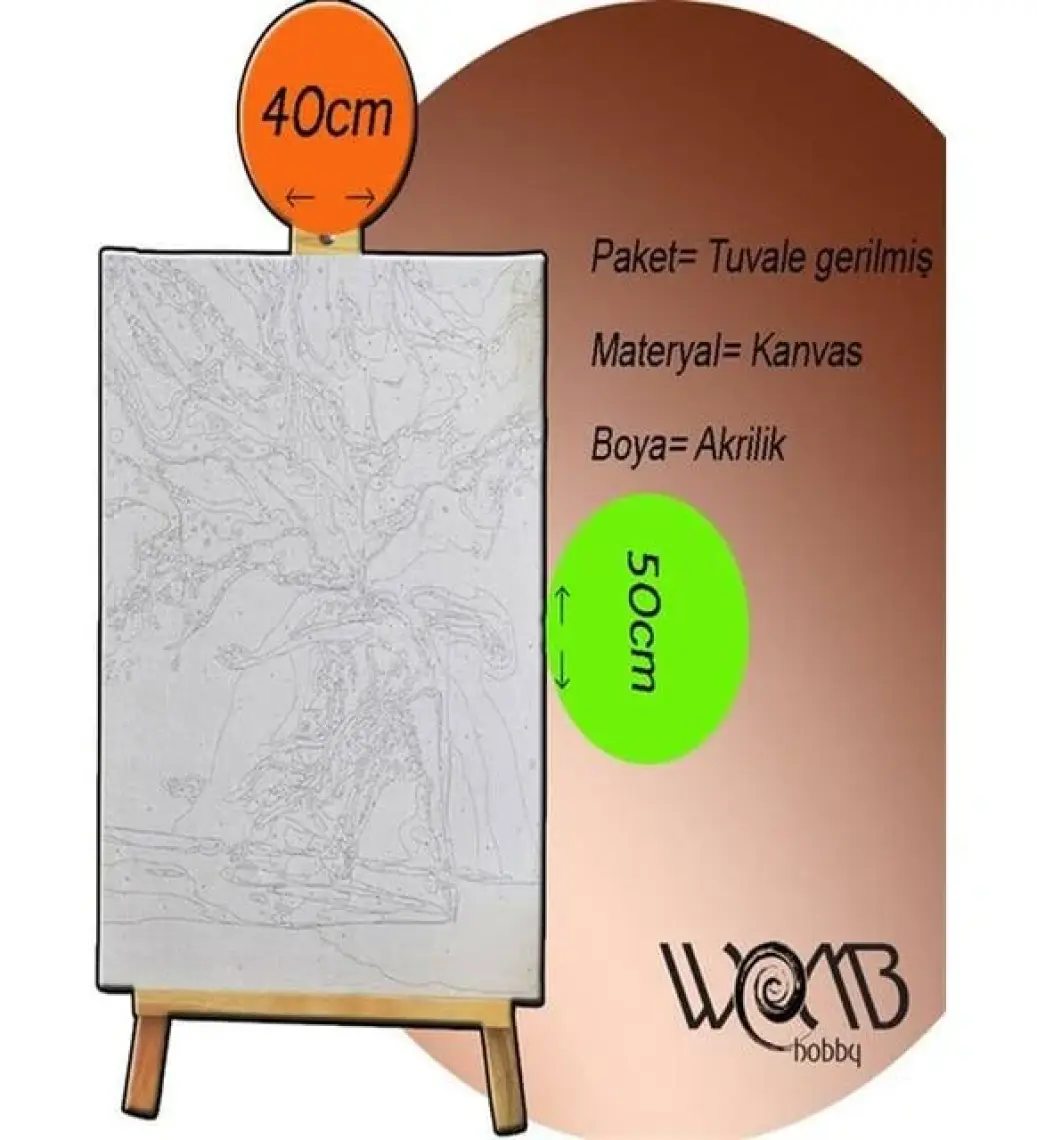 Womb Hobby Kabe Sayılarla Boyama Seti 40 x 50 cm Tuvale Gerili