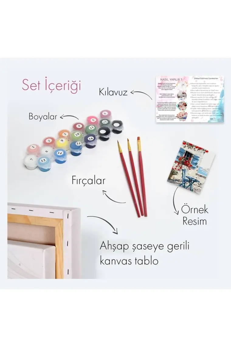 Tabdiko Sayılarla Boyama Seti 40 x 50 cm Tuval Şasesine Gerili Karanfiller