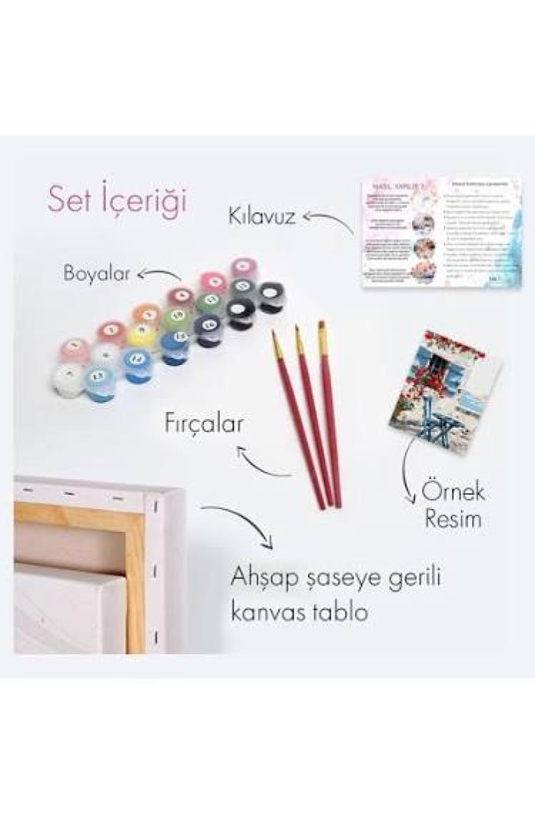 Tabdiko Sayılarla Boyama Seti 40 x 50 cm Tuval Şasesine Gerili Atın Özgürlüğü
