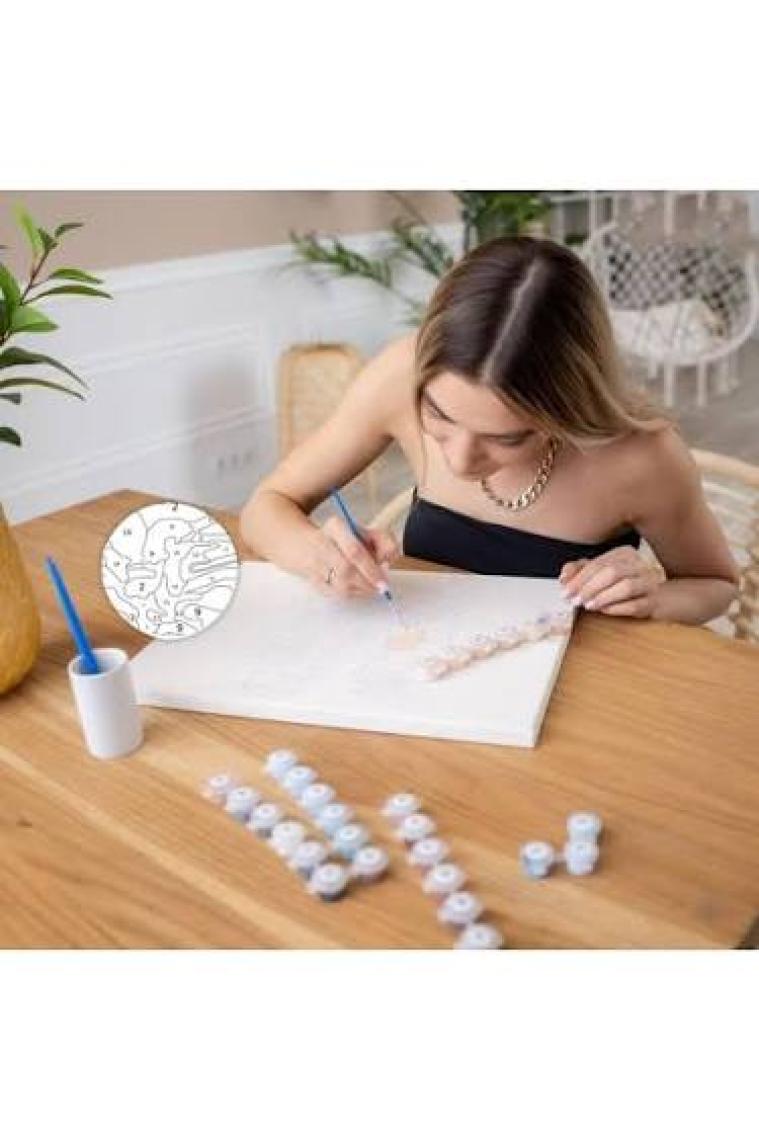 Tabdiko Sayılarla Boyama Seti 40 x 50 cm Tuval Şasesine Gerili Atın Özgürlüğü