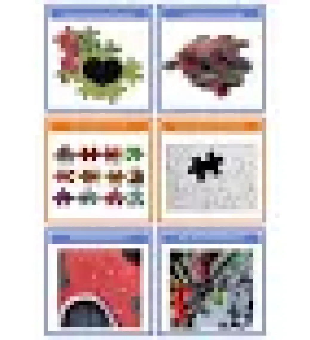 Nova Puzzle 1000 Parça Mavi Bakışlar Puzzle