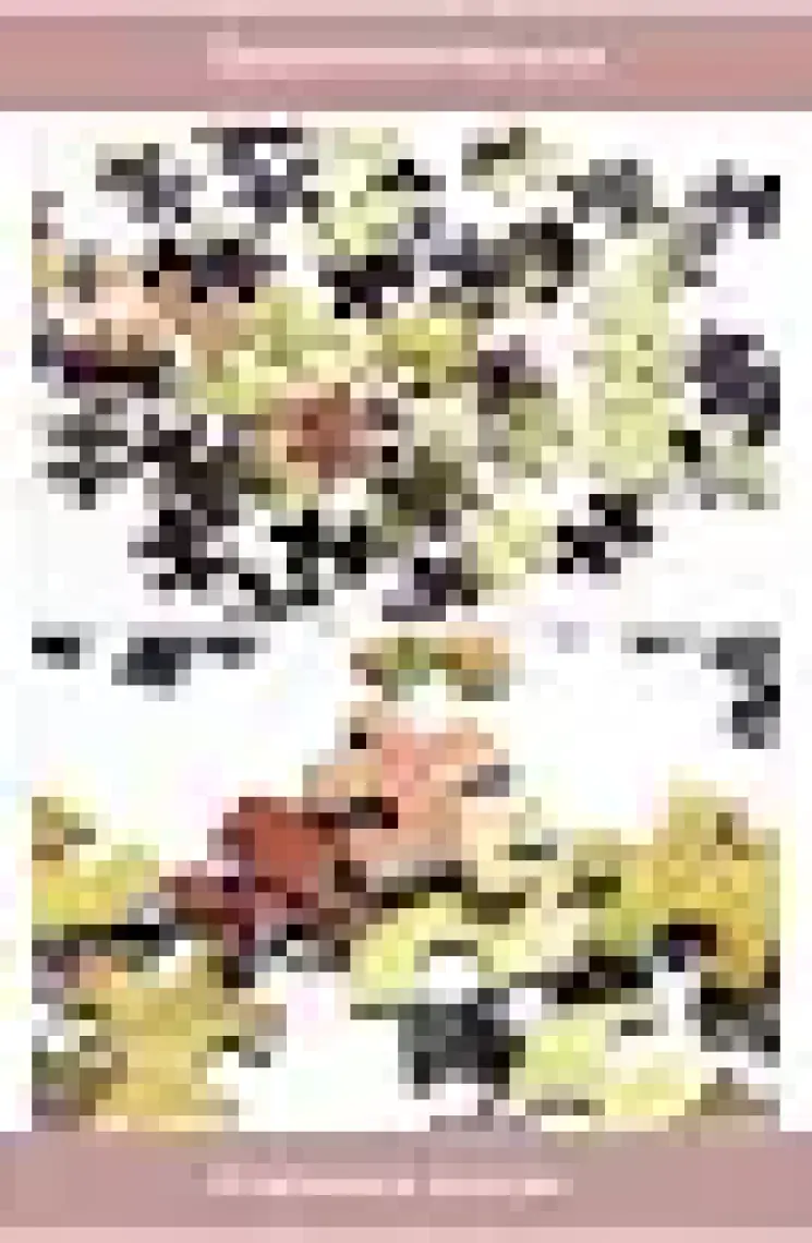 Nova Puzzle 1000 Parça Mavi Bakışlar Puzzle