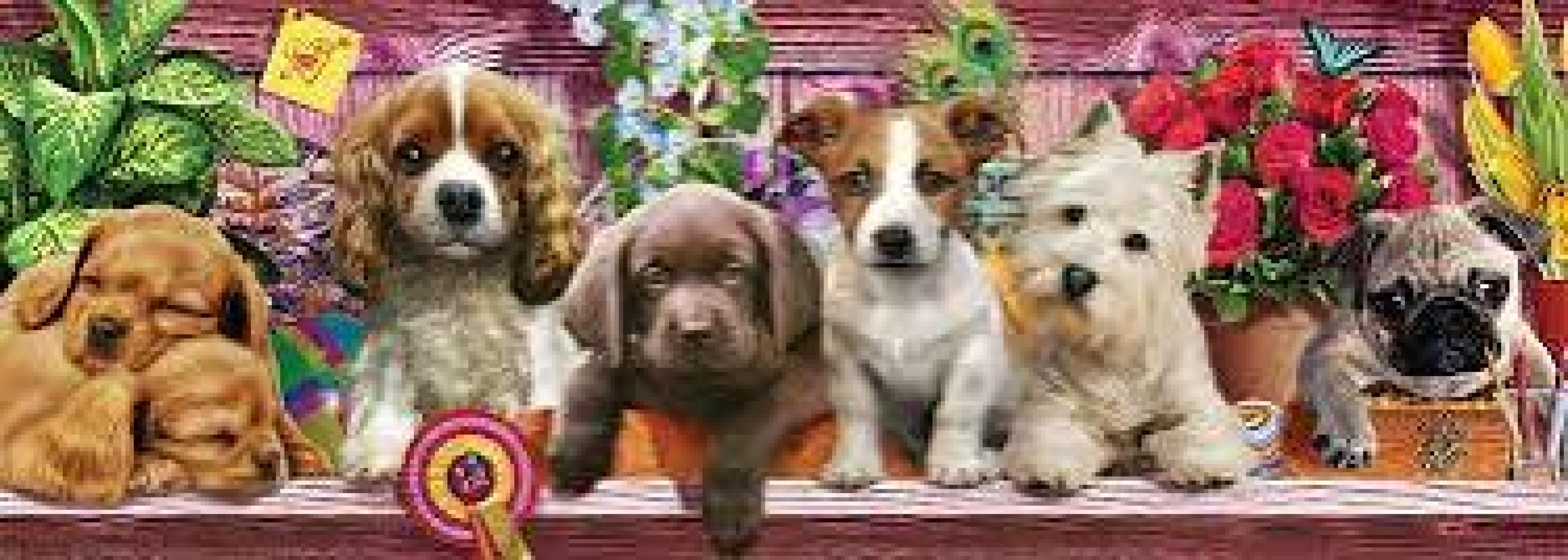 KS Games Puppies