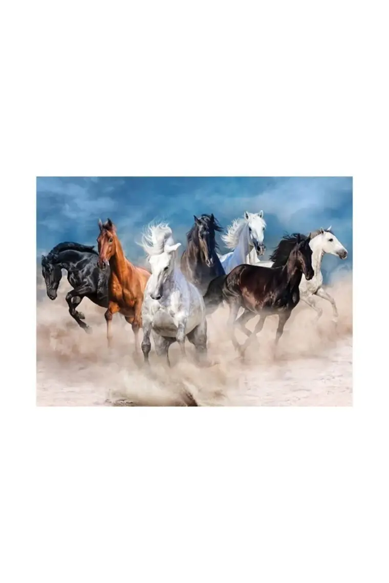 Blue Focus 1000 Parça Puzzle - Horses ( Atlar )