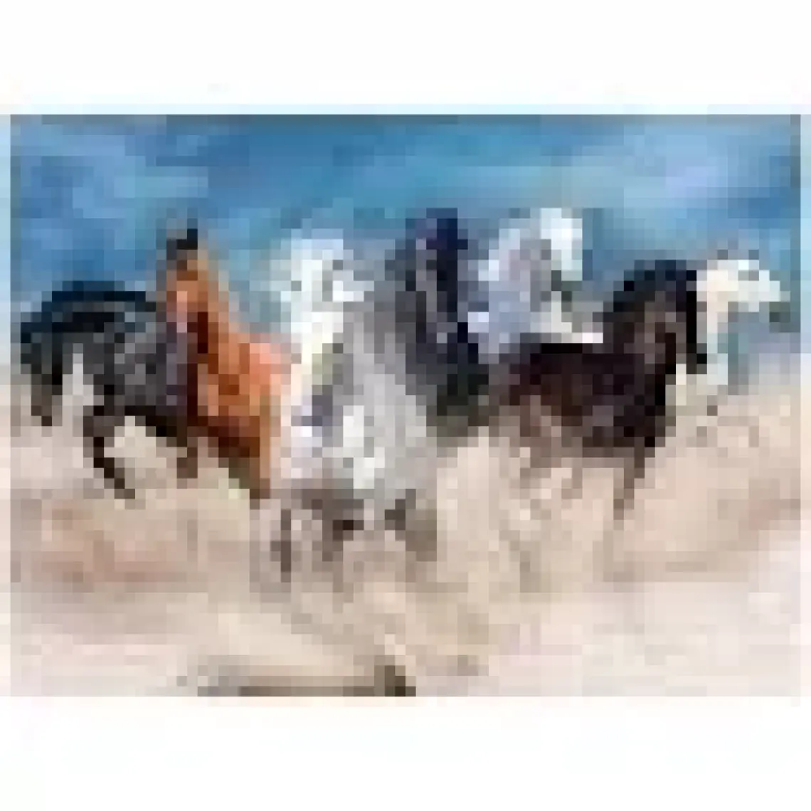 Blue Focus 1000 Parça Puzzle - Horses ( Atlar )