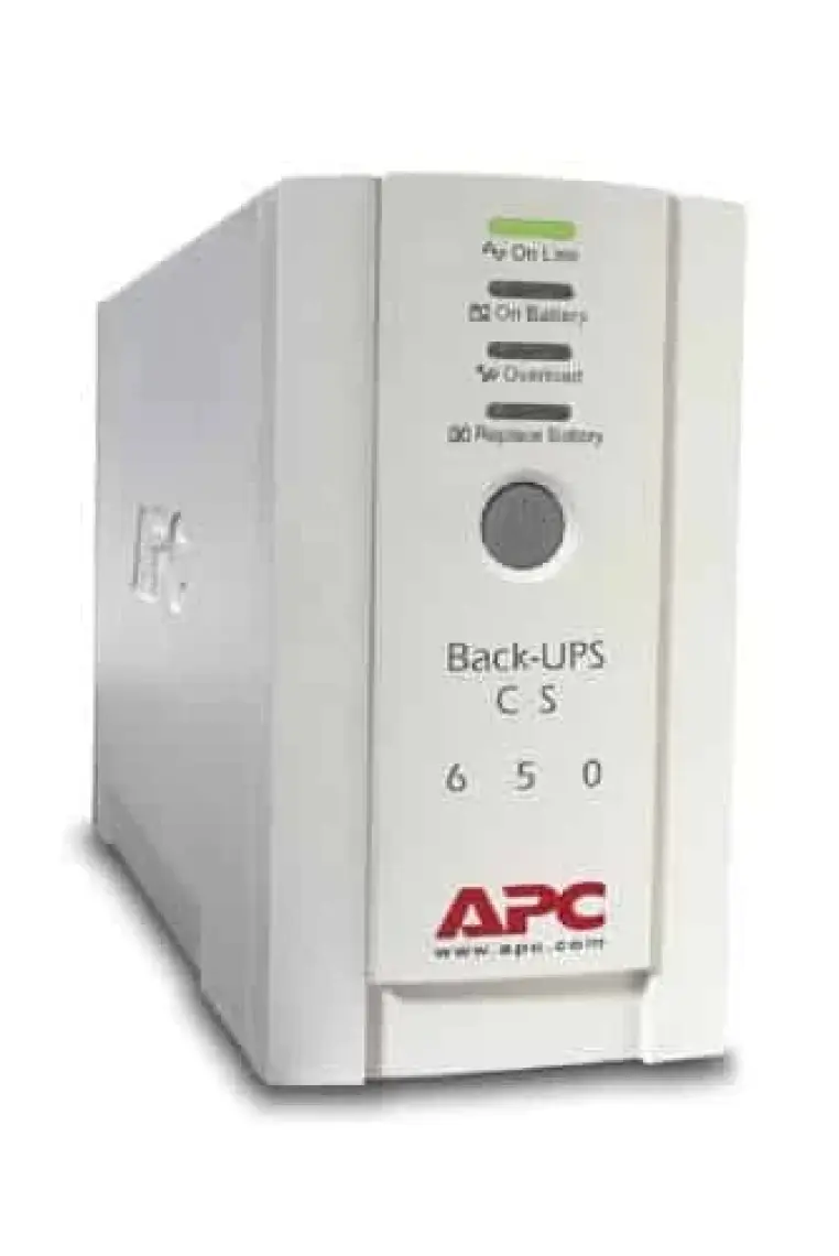 APC BVX1600LI-GR 1600VA Kesintisiz Güç Kaynağı