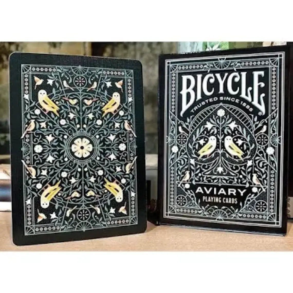 Bicycle® Tiny Aviary Oyun Kartları