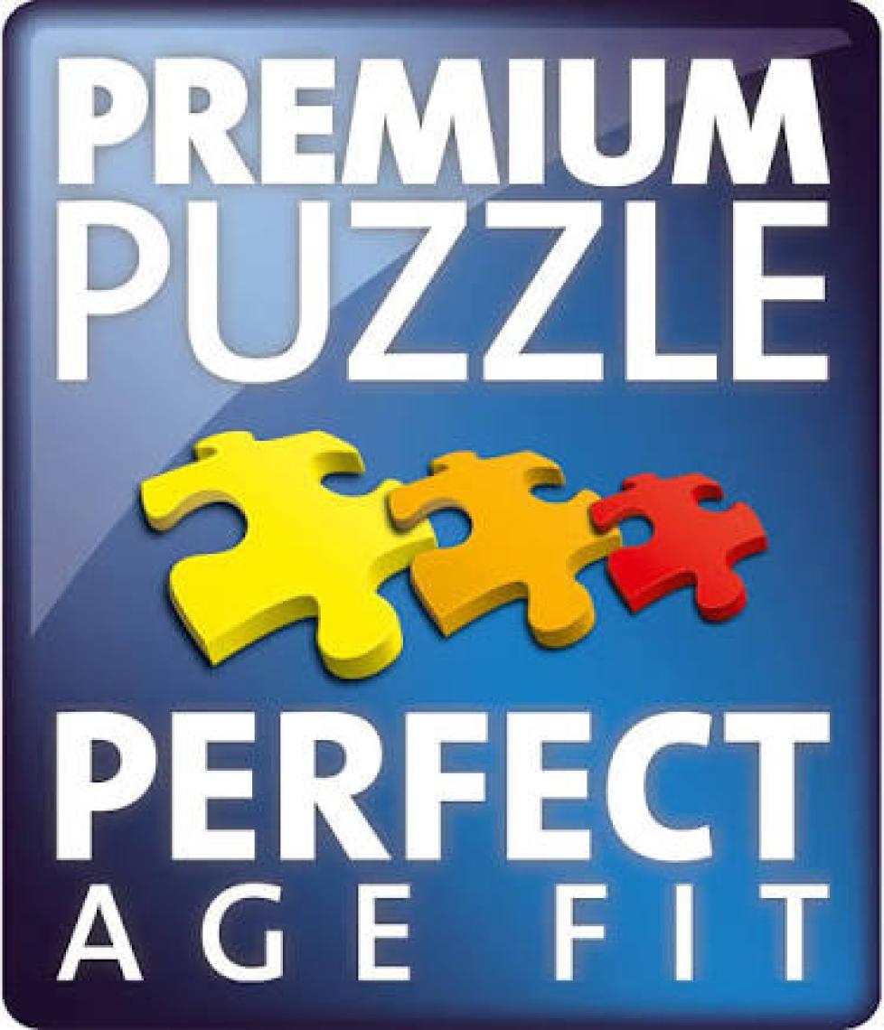 Ravensburger 500 Parça Puzzle Güneş Sistemi RPO147755