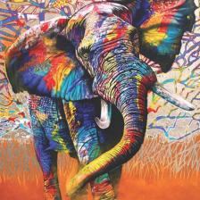 Anatolian Afrika Renkleri 1000 Parça Puzzle (AFRİCAN COLOURS)