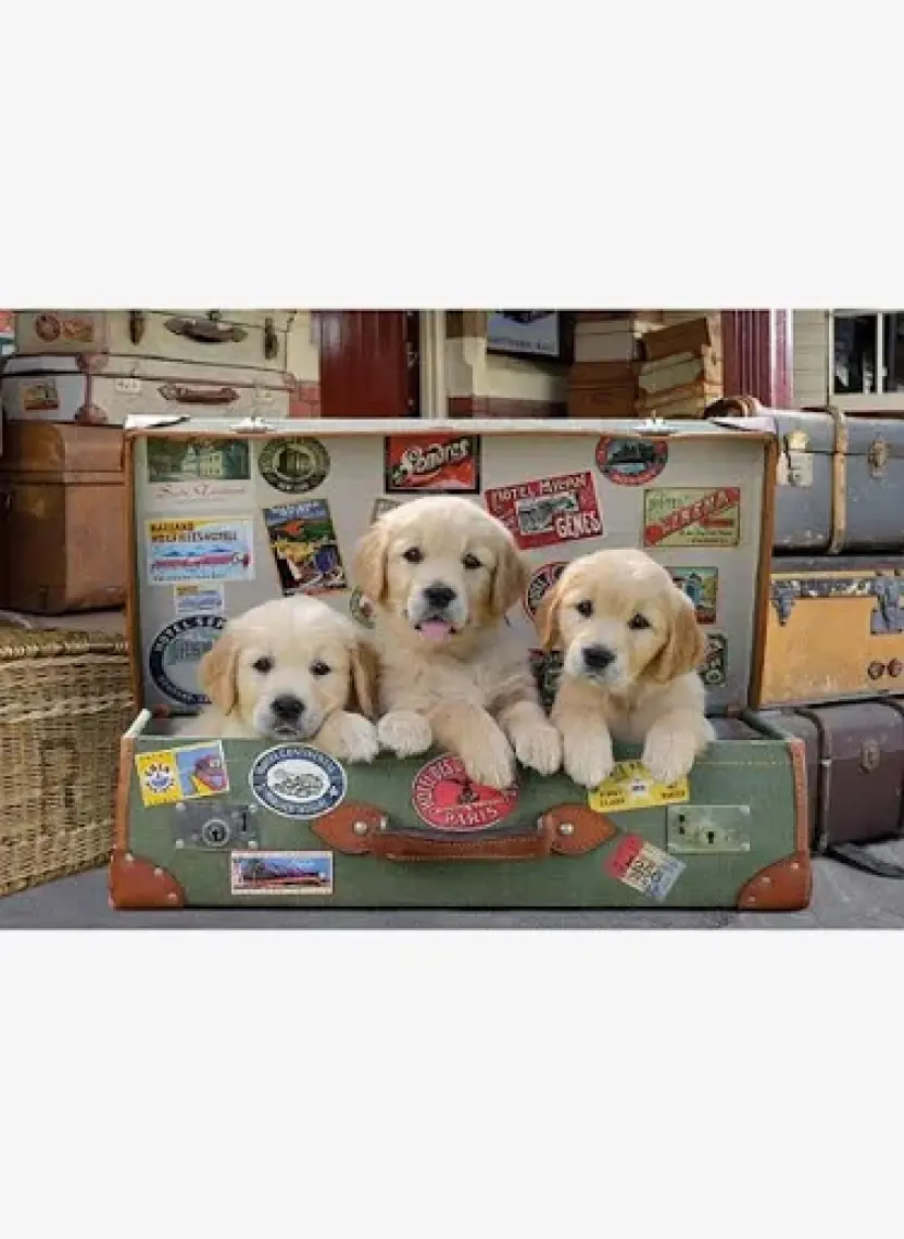 Educa Puzzle 500 Parça Bagajdaki Yavru Köpekler 17645