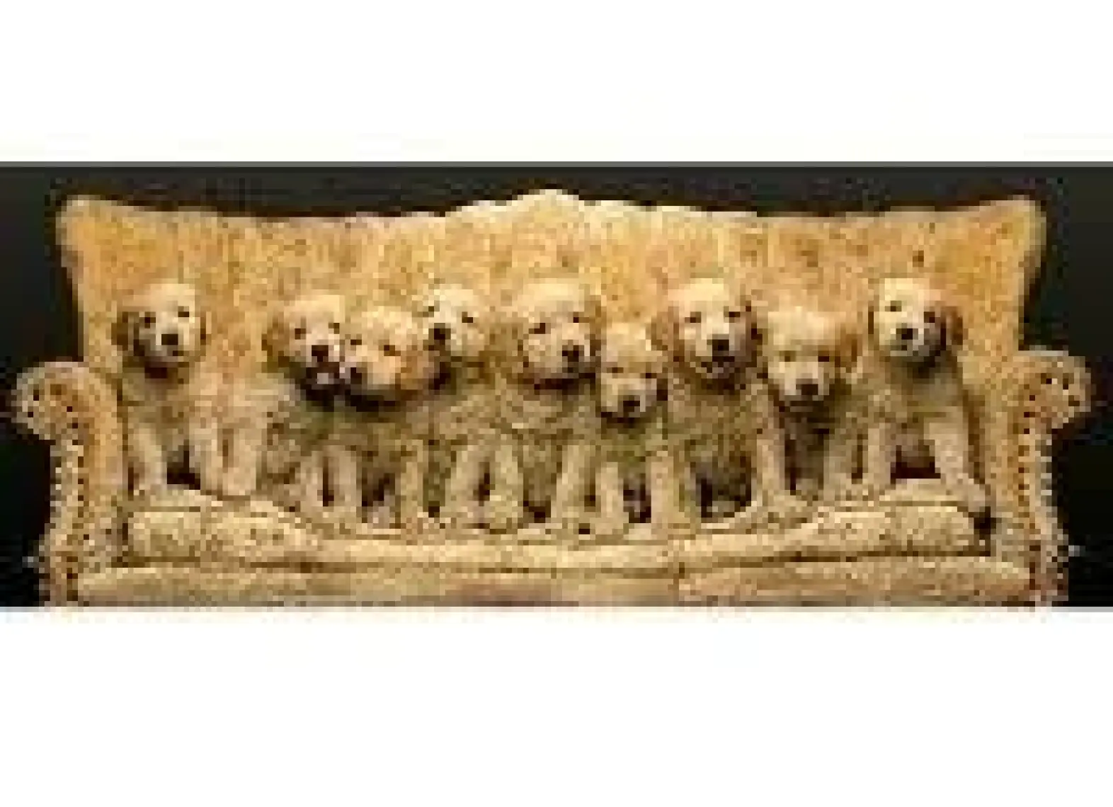 Educa Puzzle 500 Parça Bagajdaki Yavru Köpekler 17645