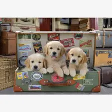 Educa Puzzle 500 Parça Bagajdaki Yavru Köpekler 17645