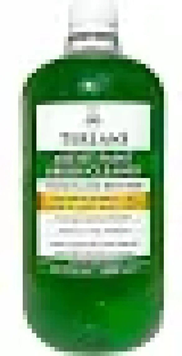 Terlans Sanatsal Boya Ve Fırça Temizleyici 1000 Ml