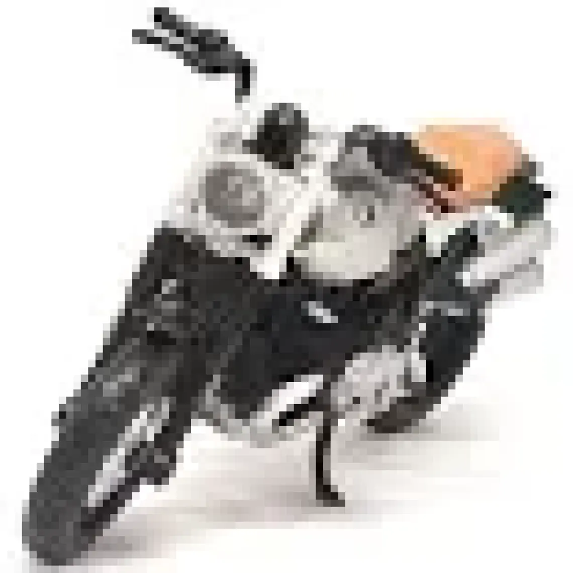 Maisto Bmw R1250 Gs Motosiklet 1/18 39351