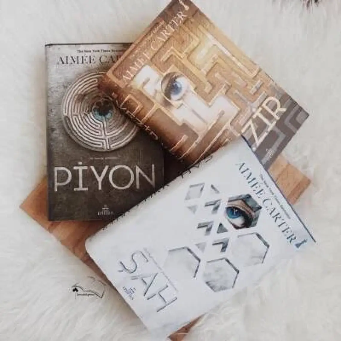 Piyon - Vezir - Şah (3 Kitap Set Ciltli) - Aimee Carter
