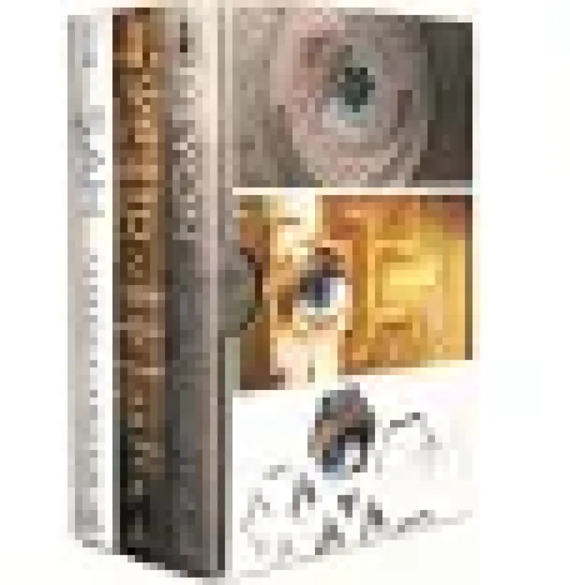 Piyon - Vezir - Şah (3 Kitap Set Ciltli) - Aimee Carter