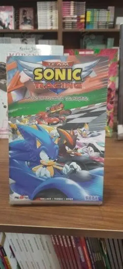 Kirpi Sonic: Sonic Takımı Yarışta