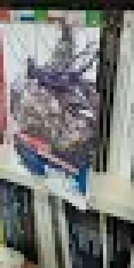 Ragnarok Valkürleri Cilt 2