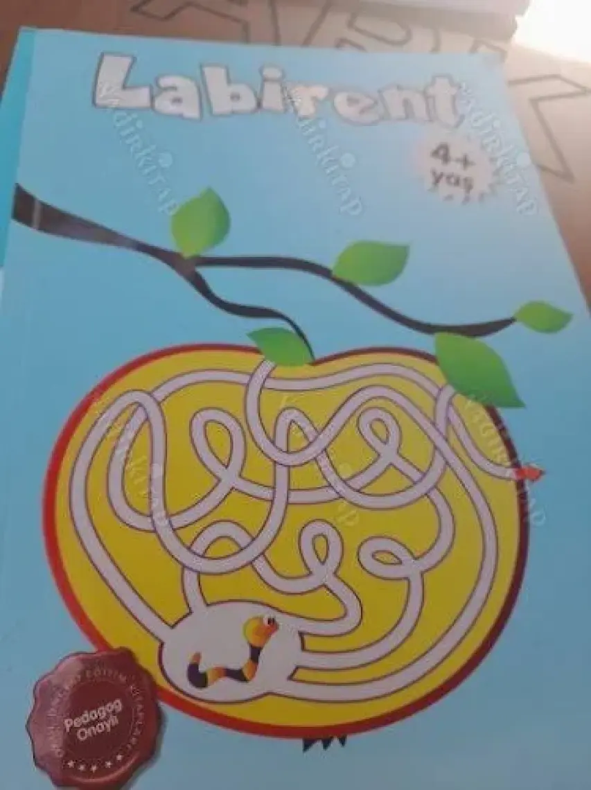 4+ Yaş Labirent - Gülizar Çilliyüz Çetinkaya
