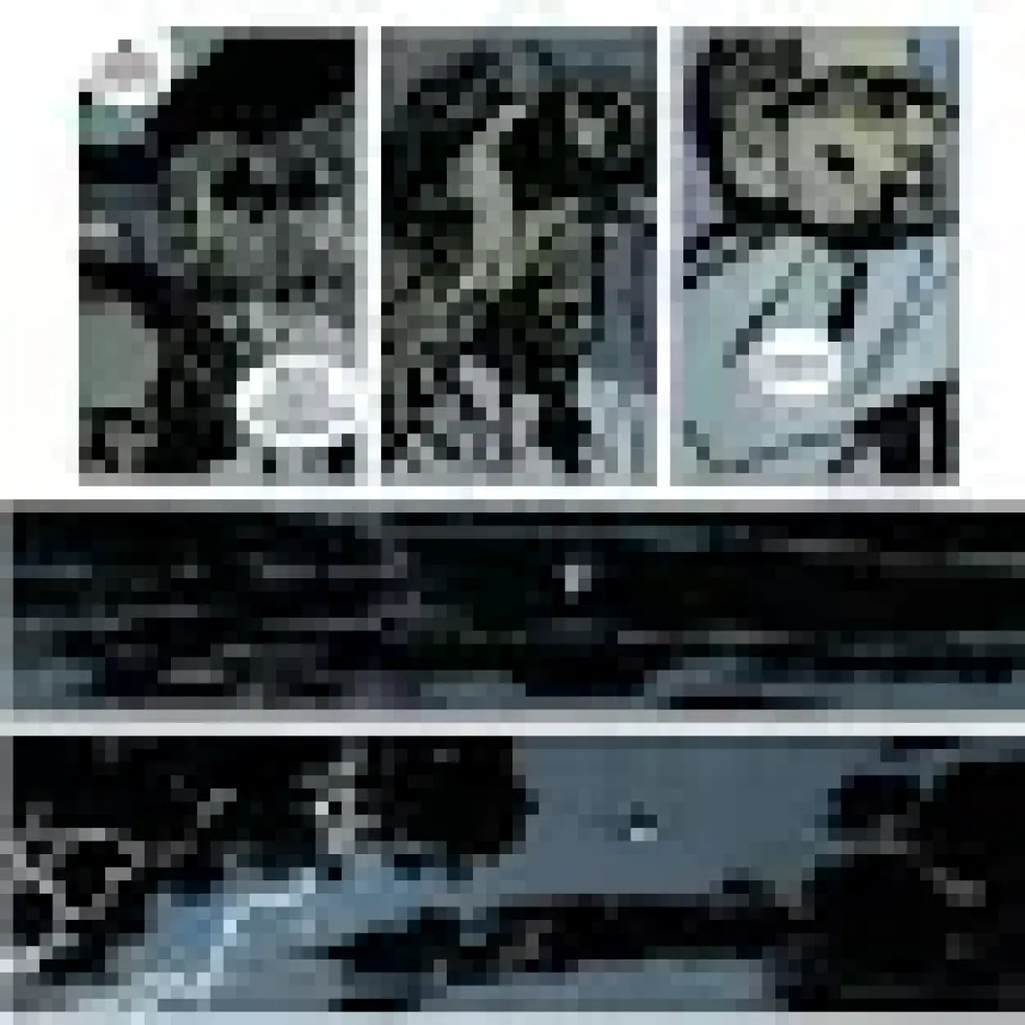 Batman - Dedektif Hikayeleri Cilt 7: Anarky