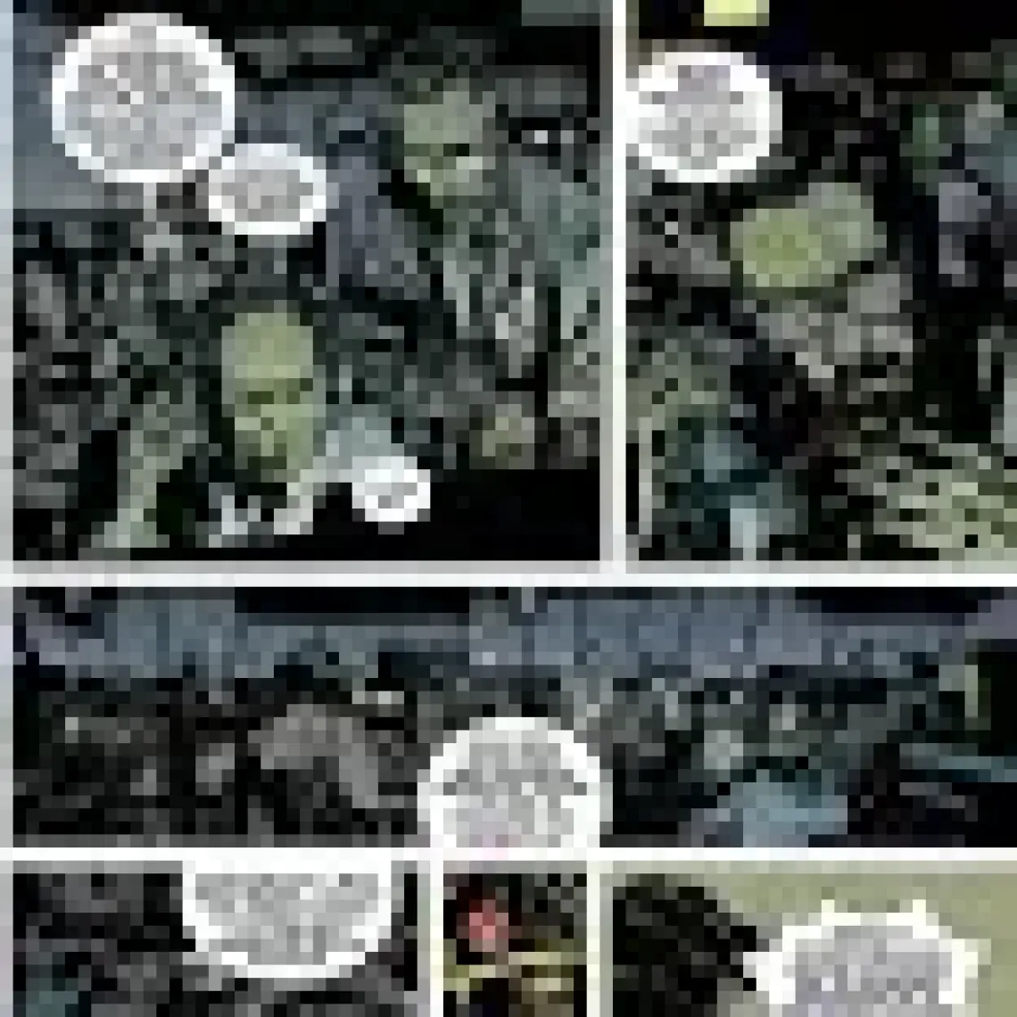 Batman - Dedektif Hikayeleri Cilt 7: Anarky