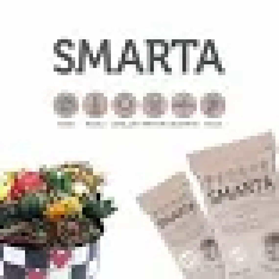Smarta Modelleme Hamuru 100 gr Toprak