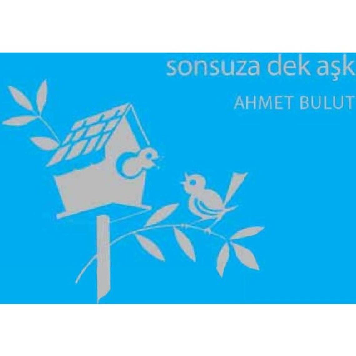 Aşkın Ev Hali - Ahmet Bulut