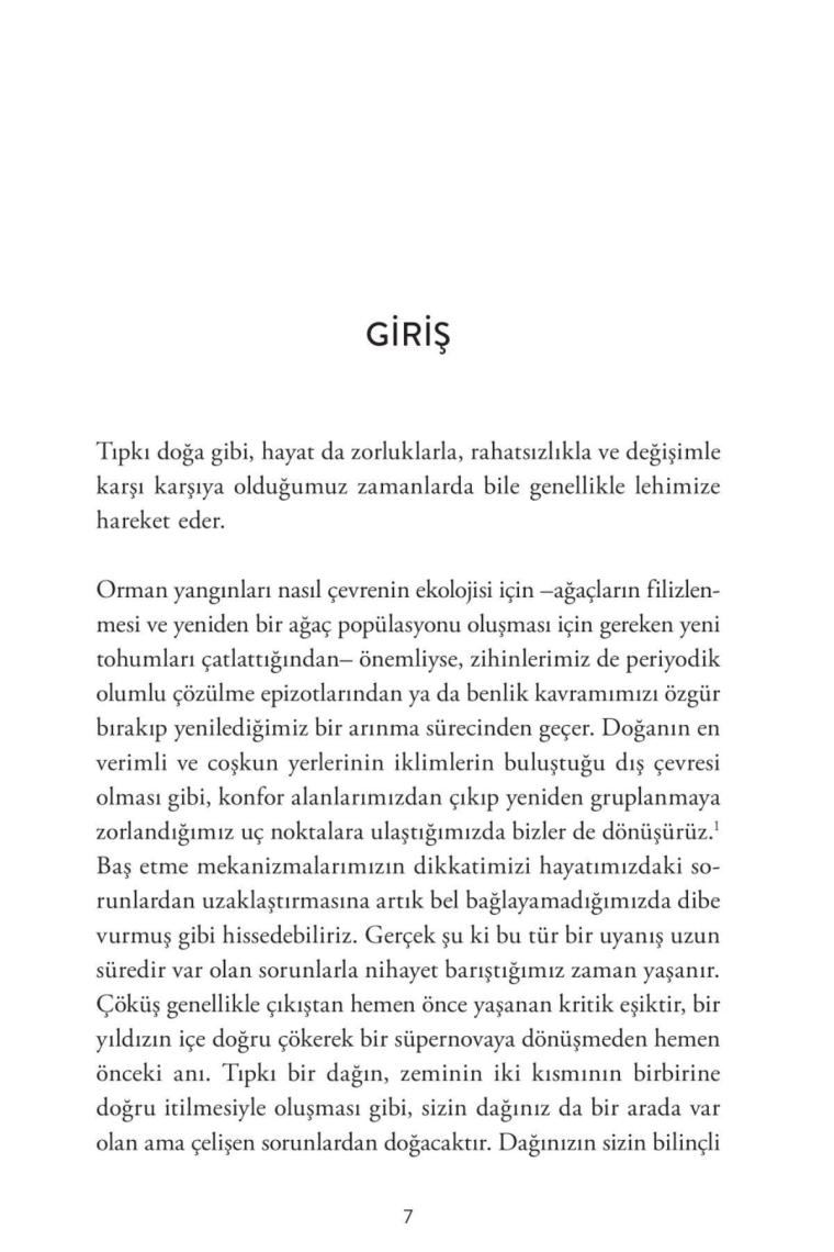 Dağ Sensin: Kendini Sabote Etmeyi Öz Hâkimiyete Dönüştürmek - Brianna Wiest